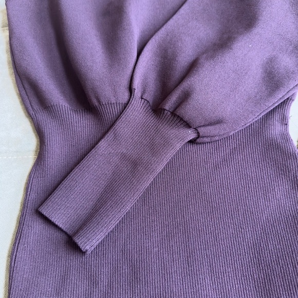 Express One-Shoulder Dress in Rich Plum - Picture 5 of 6